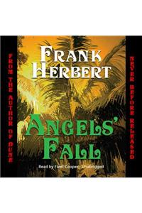 Angels' Fall