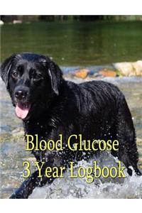 Blood Glucose Logbook