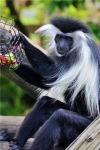 Awesome Black and White Colobus Monkey Animal Journal