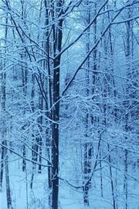 Winter Journal Snowy Morning Blue Hour