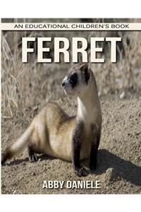 Ferret! An Educational Children's Book about Ferret with Fun Facts & Photos