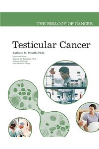 Testicular Cancer