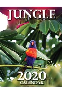 Jungle 2020 Calendar