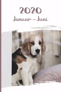 Kalender 2020