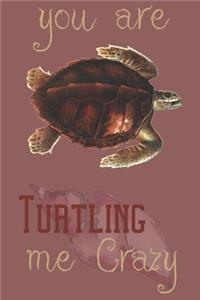 you are Turtling me crazy