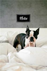 Boston Terrier Dog Pup Puppy Doggie Notebook Bullet Journal Diary Composition Book Notepad - Play in Bed