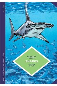 The Little Book of Knowledge: Sharks