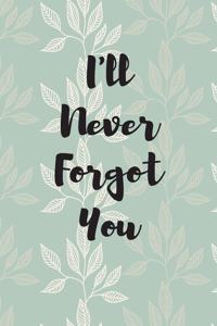 I'll Never Forget You