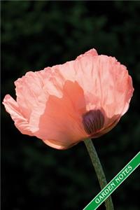 Garden Notes