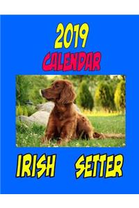 2019 Calendar Irish Setter