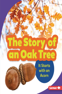 Story of an Oak Tree