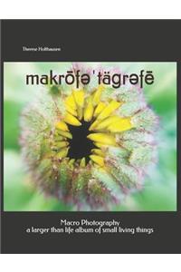 makrōfəˈtäɡrəfē macro photography
