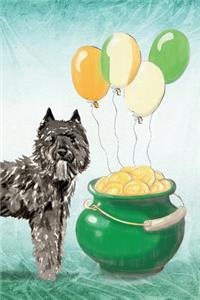 Bouvier Des Flandres