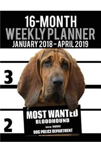 2018-2019 Weekly Planner - Most Wanted Bloodhound: Daily Diary Monthly Yearly Calendar Large 8.5" x 11" Schedule Journal Organizer