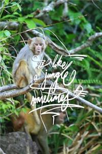 It's like a jungle sometimes