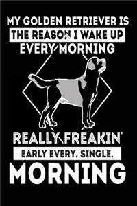 My Golden Retriever is the Reason I Wake Up Every Morning Really Freakin' Early