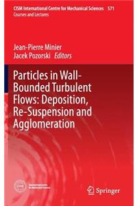 Particles in Wall-Bounded Turbulent Flows: Deposition, Re-Suspension and Agglomeration