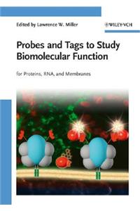 Probes and Tags to Study Biomolecular Function