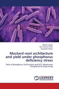 Mustard root architecture and yield under phosphorus deficiency stress