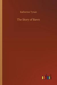 Story of Bawn