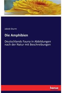 Die Amphibien