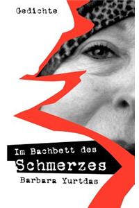 Im Bachbett des Schmerzes