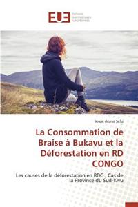 Consommation de Braise À Bukavu Et La Déforestation En Rd Congo