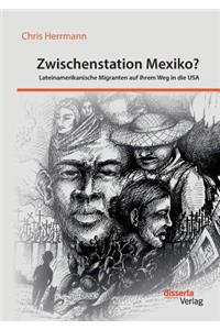 Zwischenstation Mexiko? Lateinamerikanische Migranten auf ihrem Weg in die USA