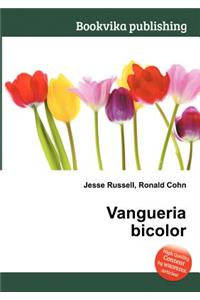 Vangueria Bicolor