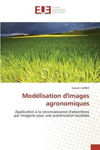 Modélisation d''images agronomiques