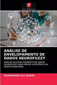 Análise de Envelopamento de Dados Neurofuzzy