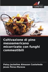 Coltivazione di pino mesoamericano micorrizato con funghi commestibili