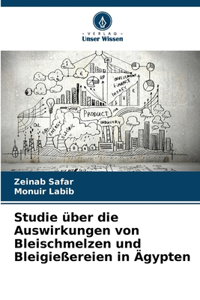 Studie über die Auswirkungen von Bleischmelzen und Bleigießereien in Ägypten