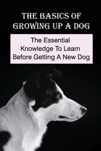 The Basics Of Growing Up A Dog