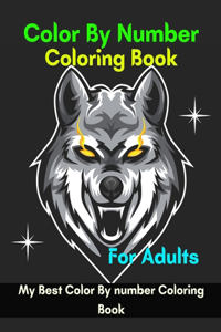 Color By Number Coloring Book For Adults