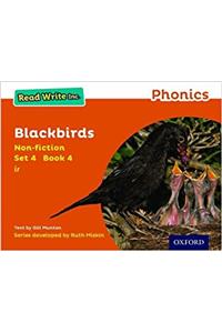 Read Write Inc. Phonics: Blackbirds (Orange Set 4 Non-fiction 4)