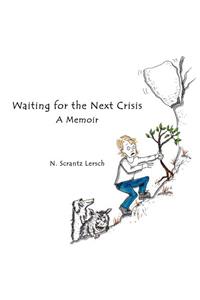 Waiting for the Next Crisis