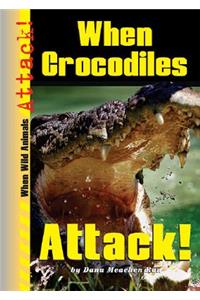 When Crocodiles Attack!