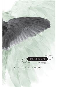 Pinion