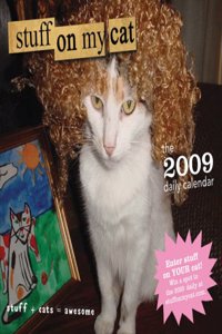 Stuff on My Cat