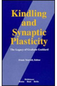 Kindling and Synaptic Plasticity