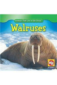 Walruses