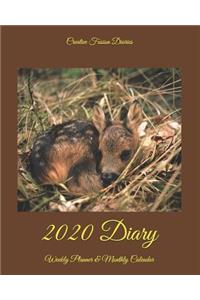 2020 Diary