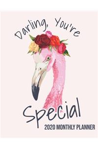 Darling You're Special 2020 Monthly Planner