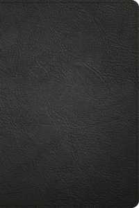 NASB Large Print Personal Size Reference Bible, Black