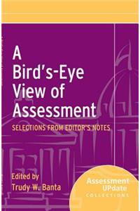 A Bird's-Eye View of Assessment