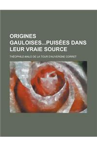 Origines Gauloisespuisees Dans Leur Vraie Source