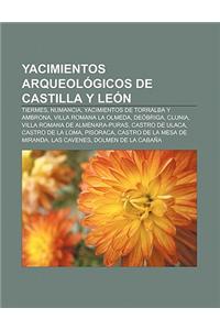 Yacimientos Arqueologicos de Castilla y Leon
