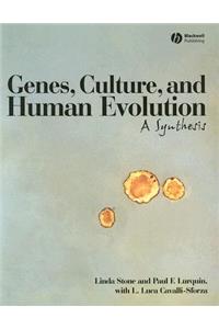 Genes, Culture, and Human Evolution