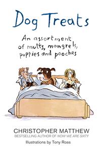 Dog Treats